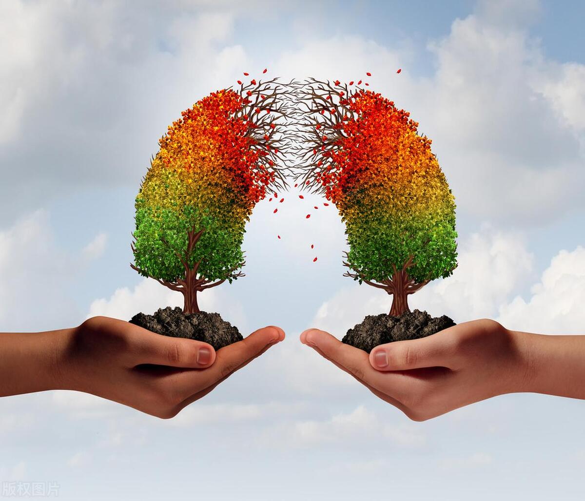 信任影响因素理论_影响信任的关键因素_2. 用户信任度的影响因素