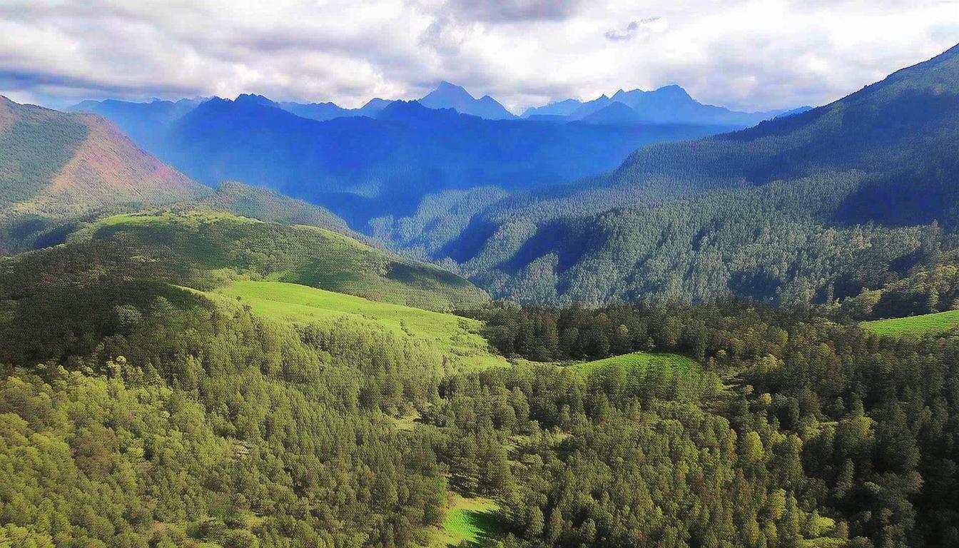 TP官网下载最新版本步骤详解，助你畅享优质体验