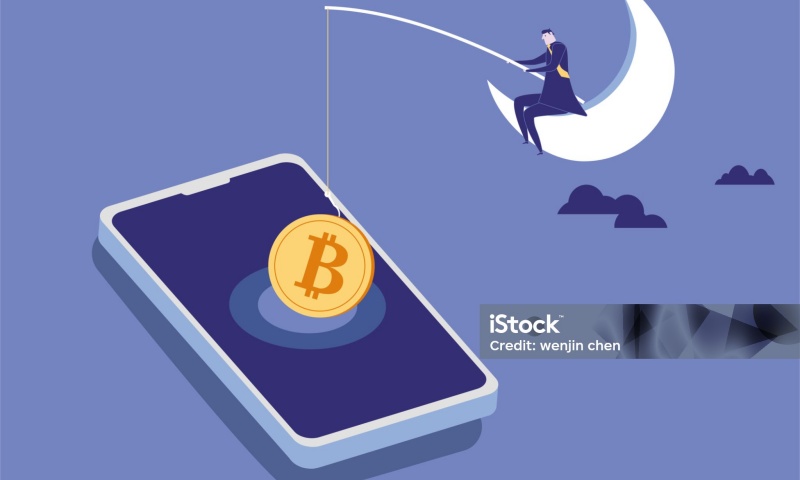 如何选择合适的数字货币钱包_数字钱包币种_数字货币钱包名称怎么写